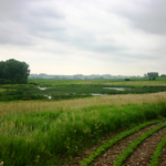 Iowa