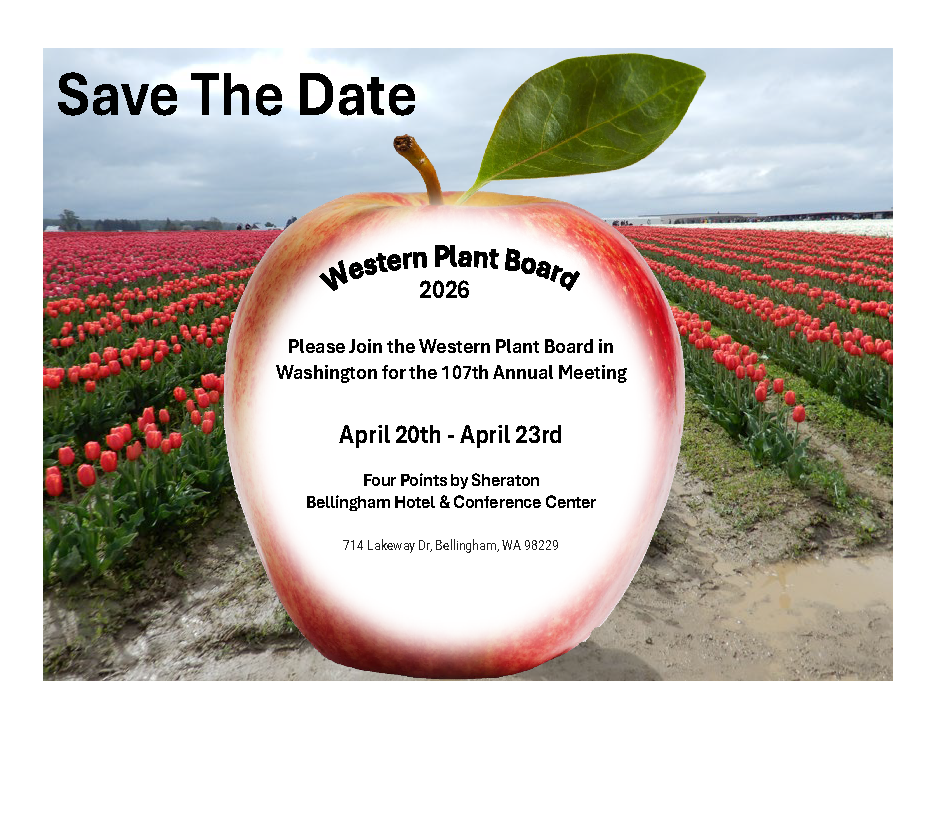wpb2026savethedate_orig